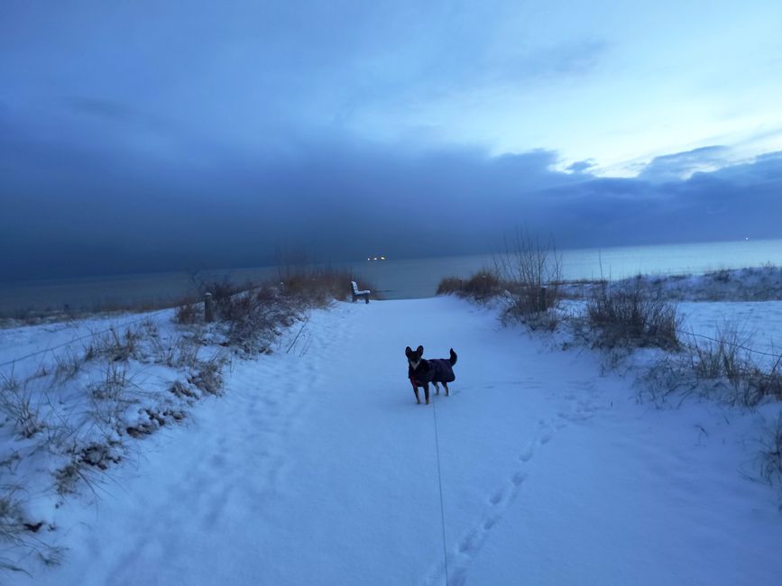 Gassi gehen früh morgens in Baabe       
auf Rügen