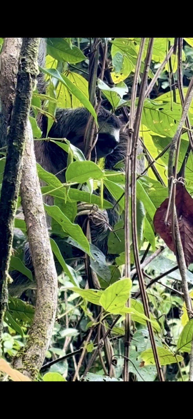 Unterwegs in Costa Rica