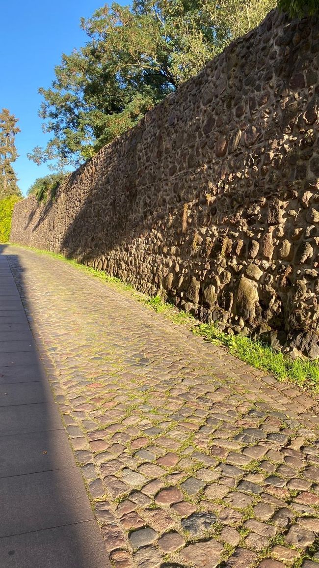 Another bit of travel luck: Bernau!