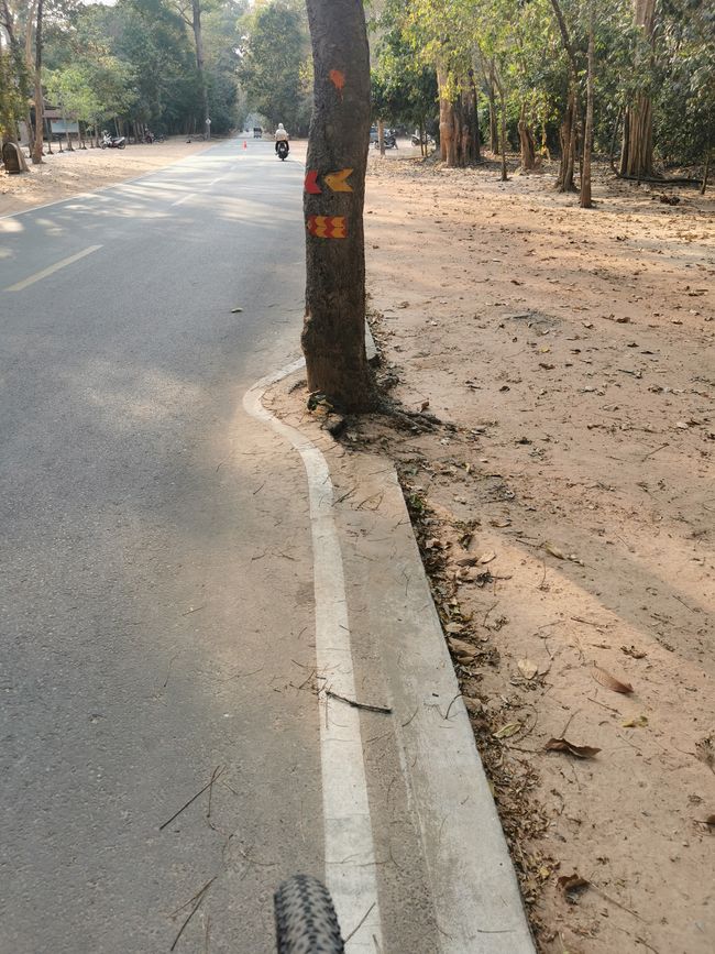... da war der Baum wohl eher da oder es gab keine Fällgenehmigung beim Straßenbau ;-) 