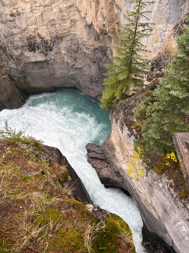 Tag 12 - 🏔️ Wasserfälle, Wetterkapriolen & Wellness – ein (fast) perfekter Tag in Jasper