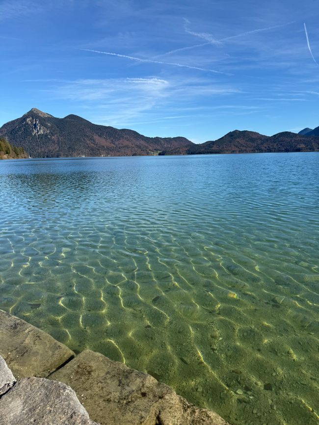 📍Walchensee