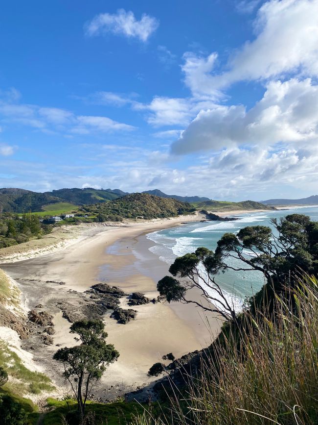 De whangarei à auckland