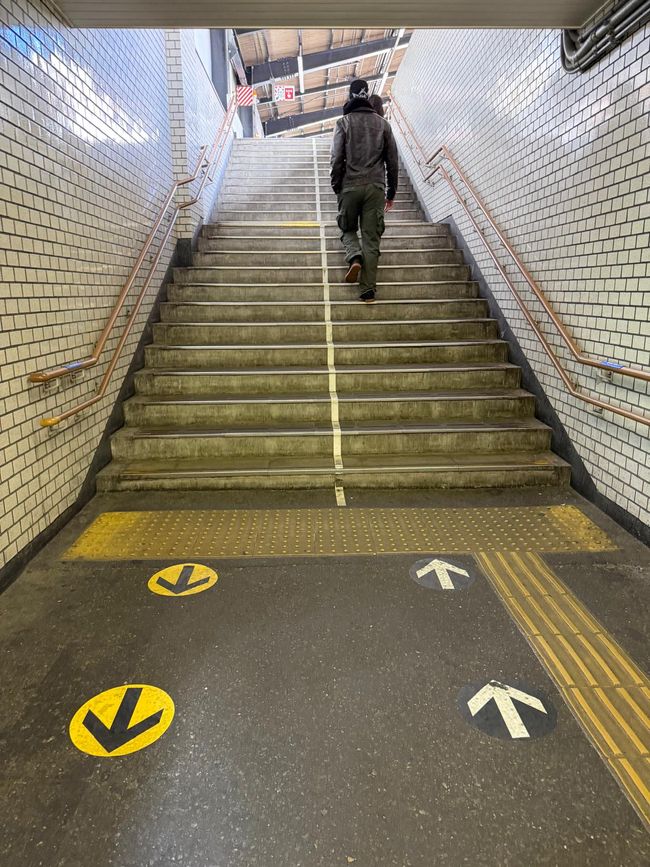 Osaka 'kuidaore' ➡️ mangiare fino a cadere