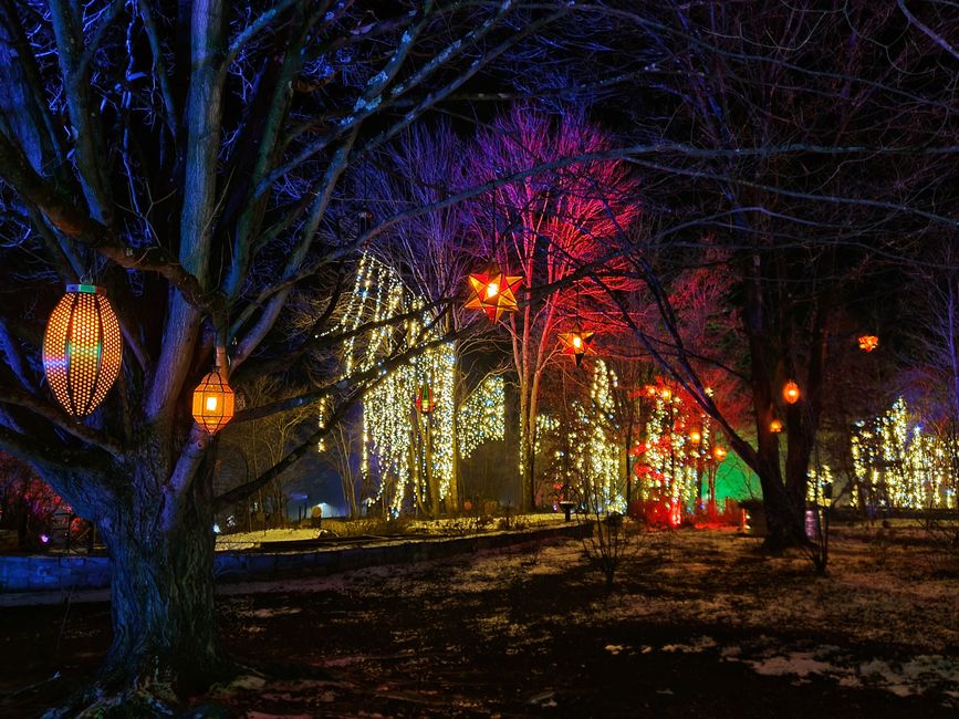 Dazzling Nights Pittsburgh Botanic Garden