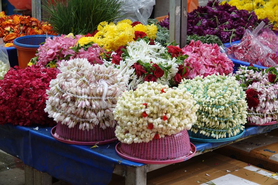 Heute mit dem Fahrrad unterwegs