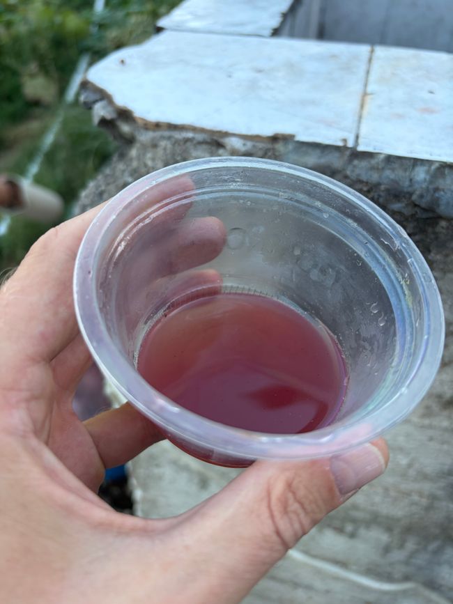 Φτιάξε κρασί (Wein machen)