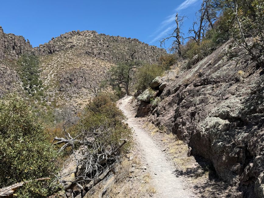 BLOG 12: In der Heimat der Chiricahua-Apachen