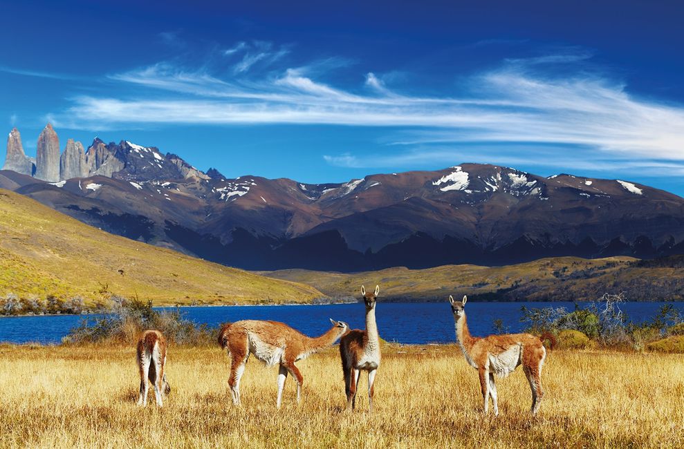 patagonia-2026
