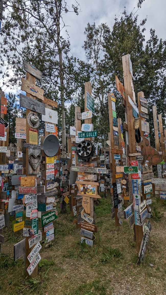 Sign Post Forest (forest of signs) Watson Lake