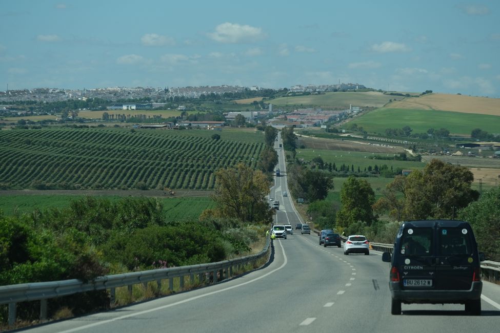Richtung Jerez de la Frontera