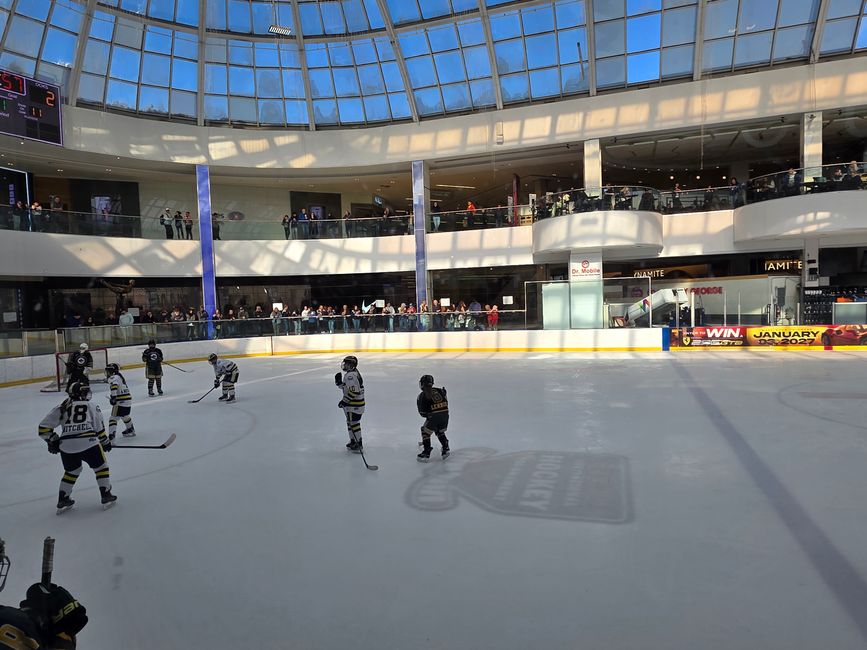 Centro Comercial West Edmonton