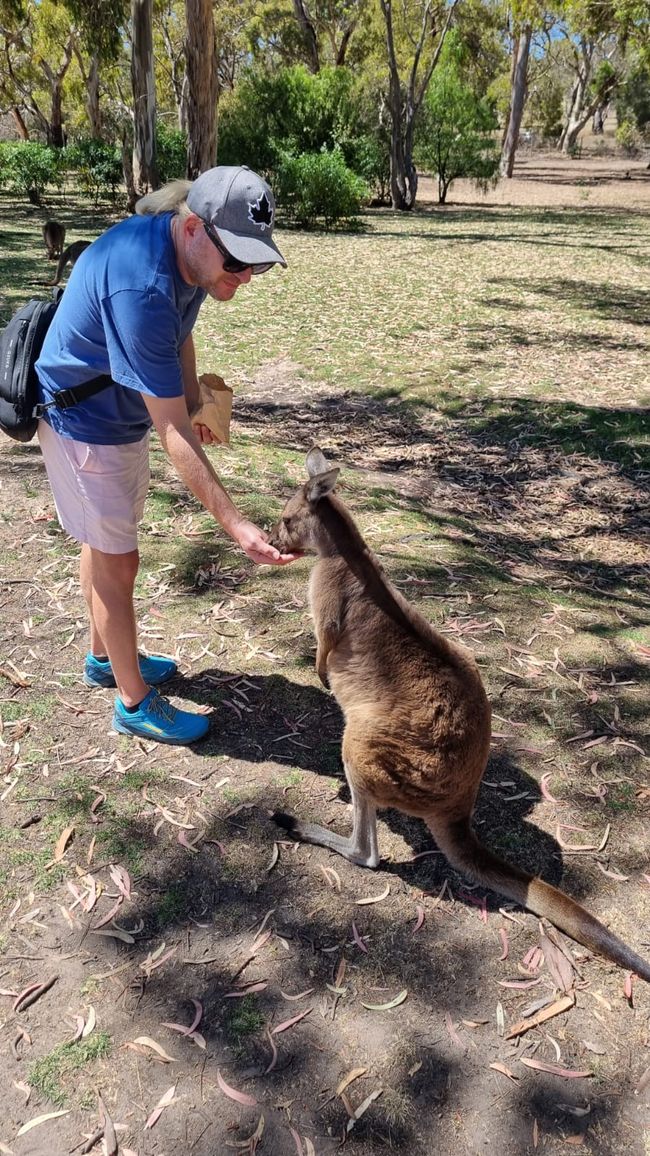 Wiedersehen in Adelaide, 11. und 12.01.25