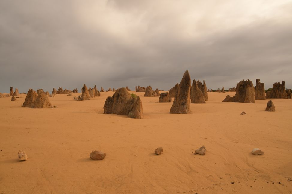 Nambung NP - Gesteins-Zinnen / Pinnacles