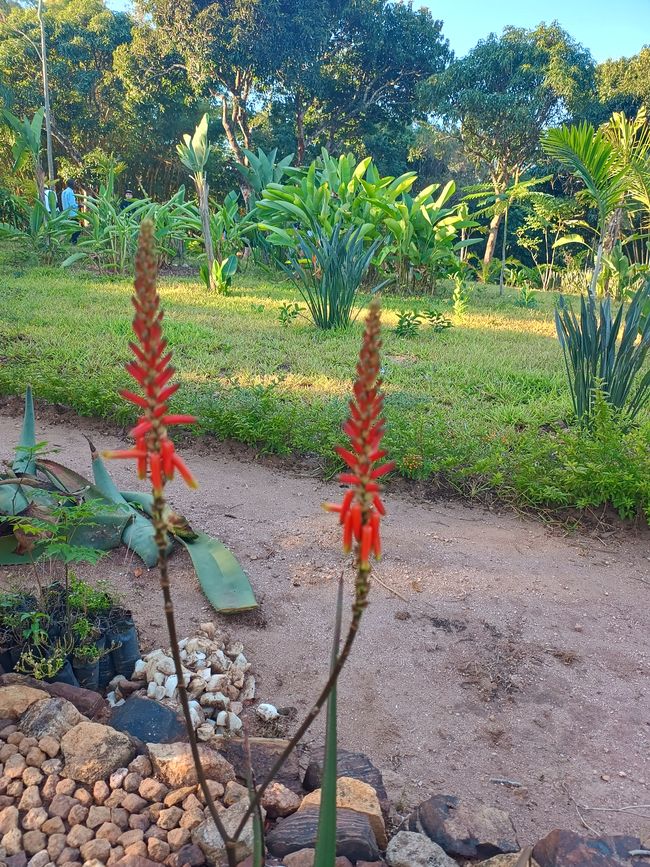 Botanischer Garten in Gondola
