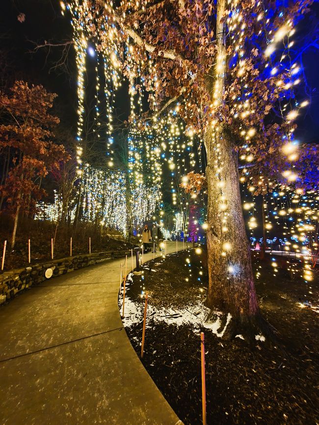 Dazzling Nights Pittsburgh Botanic Garden