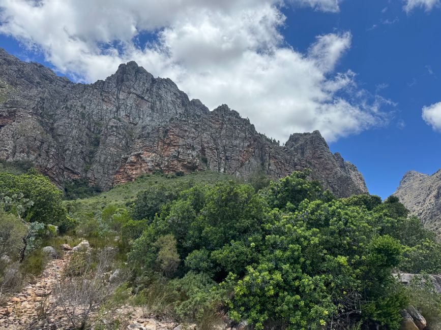 Weihnachtstage in Stellenbosch