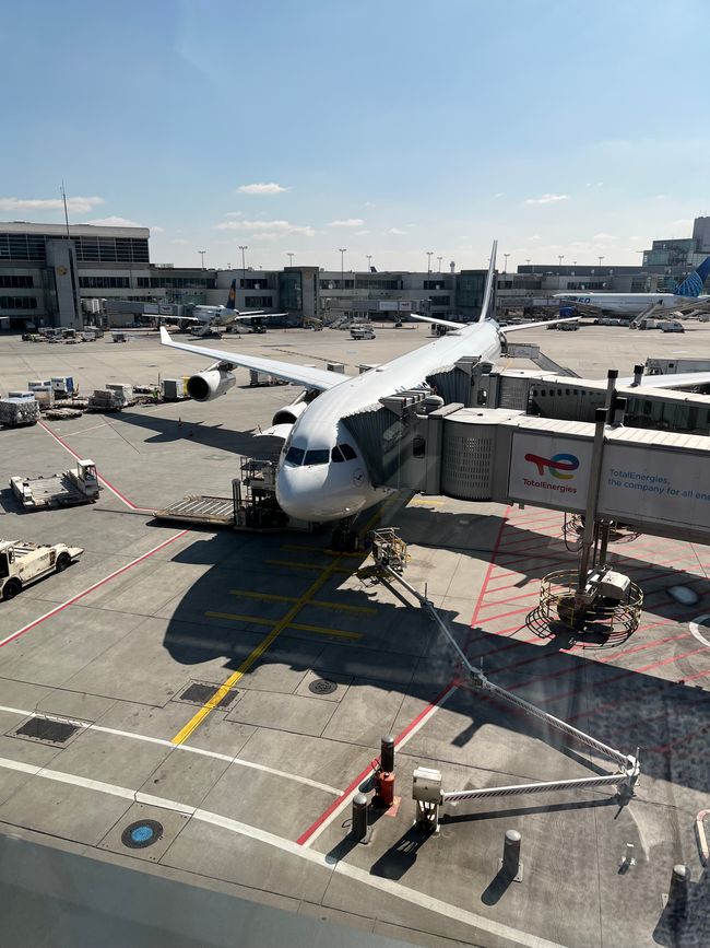 LH 518