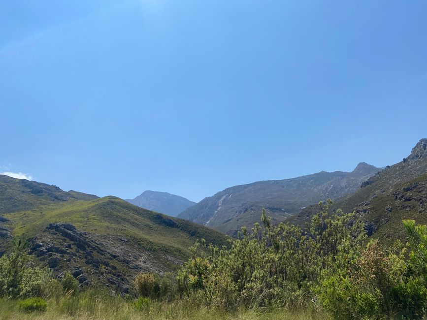 Franschhoek, Lavender Farm