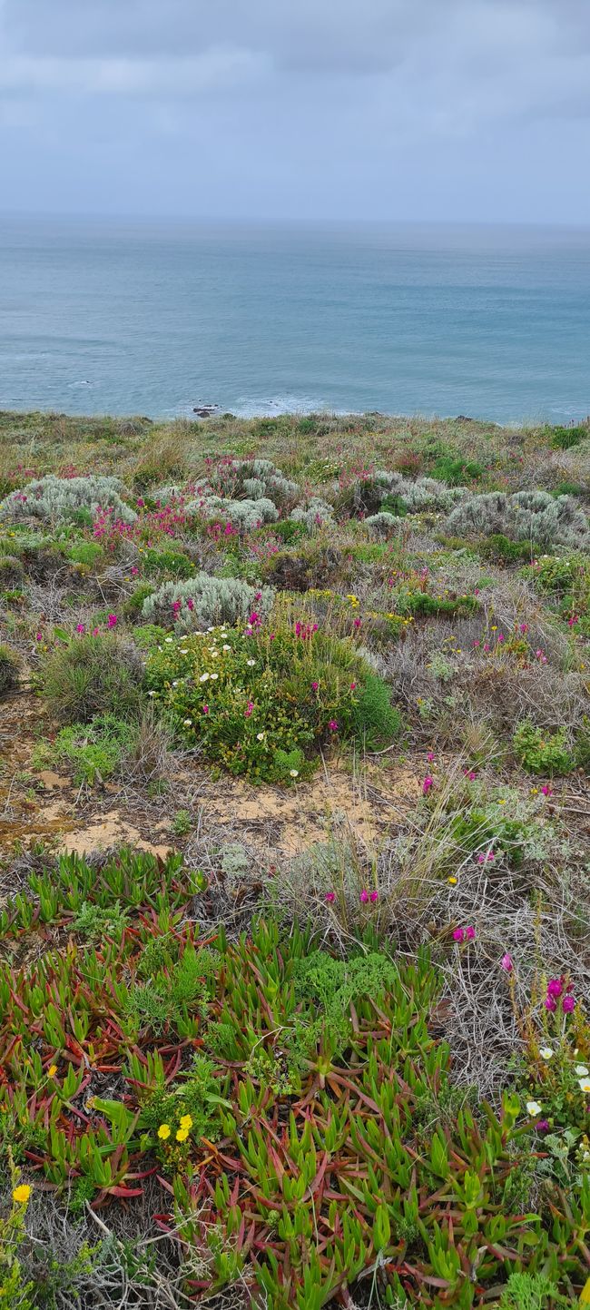 6. Etapa Praia de Odeceixe - Monte Clerigo