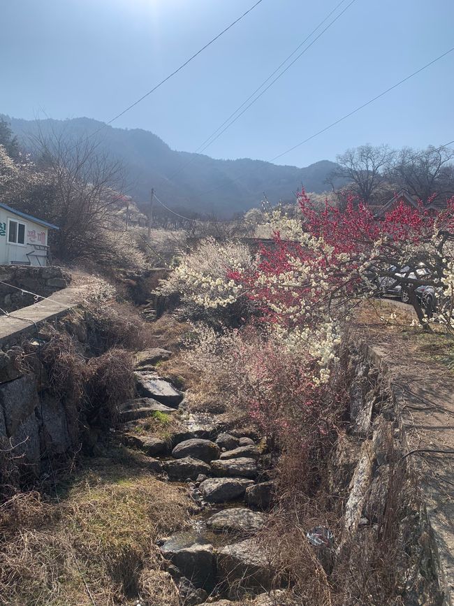 Gwangyang