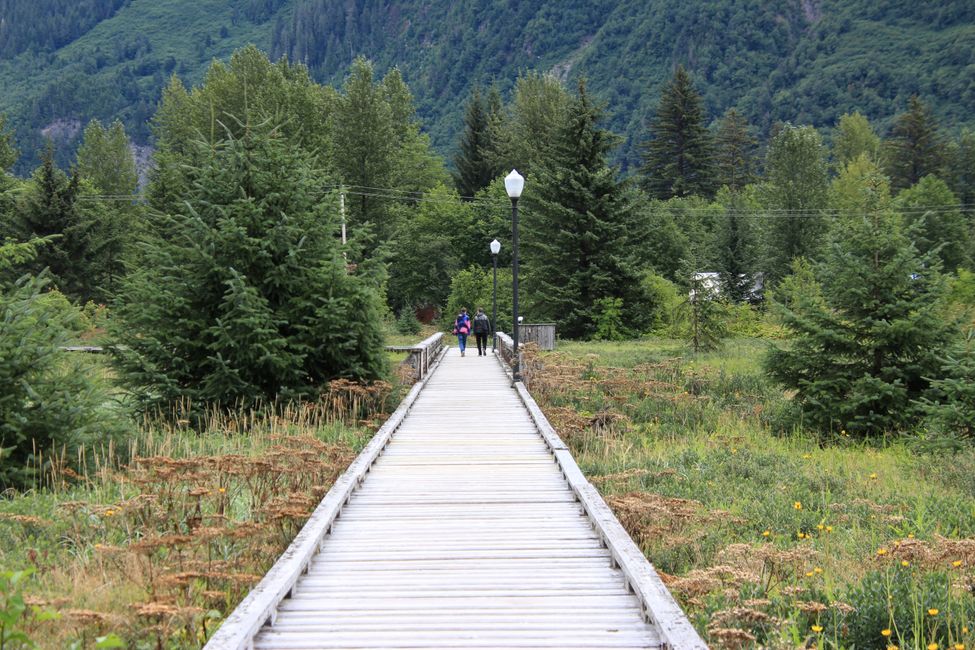 Estuary Boardwalk Stewart