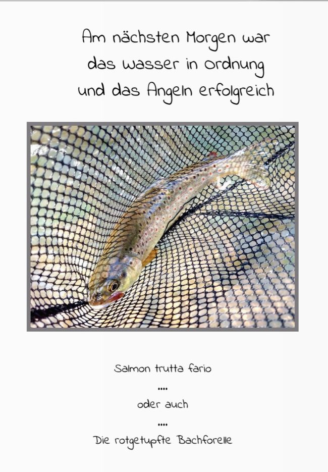 Not only fly fishing at the Kyll/Eifel