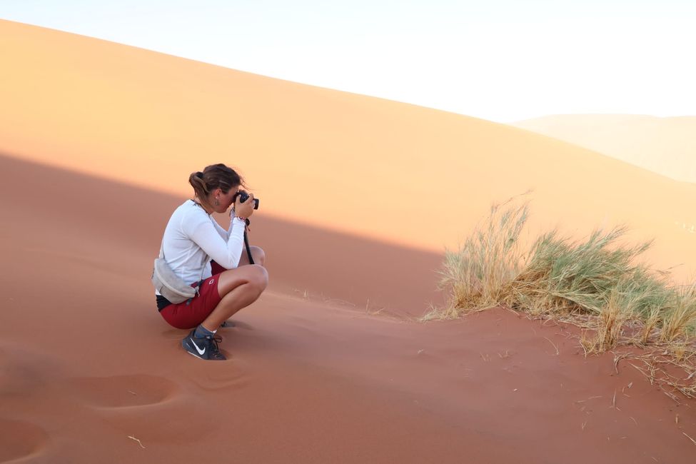 Namib Desert 🏜️ 