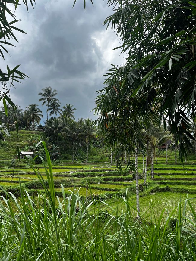 Lombok