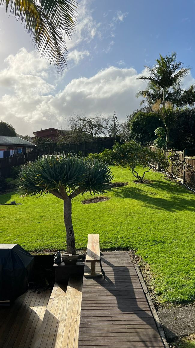 Ausblick über "unseren" Garten