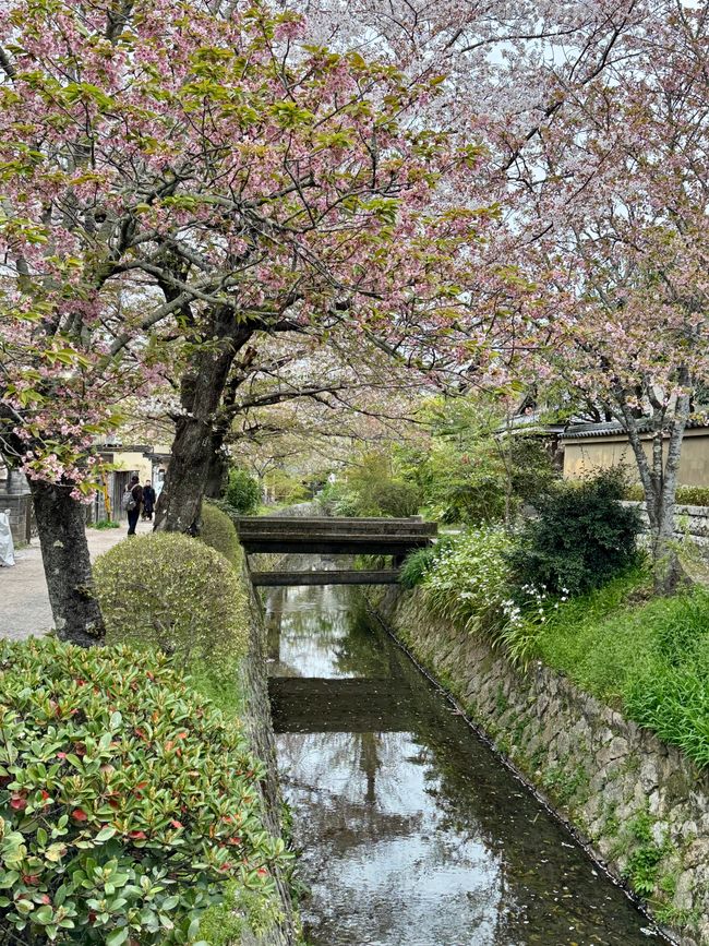 Part 8 Japan 🇯🇵 Kanazawa