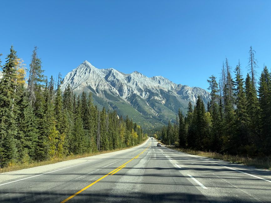 Kanada 8/21 - Revelstoke nach Banff
