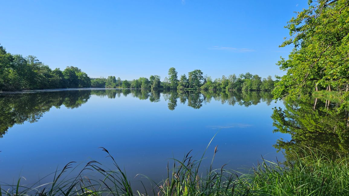 Natur pur