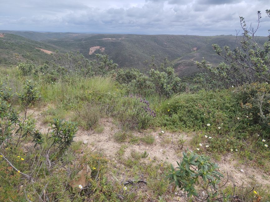 Vila do Bispo -> Carrapateira