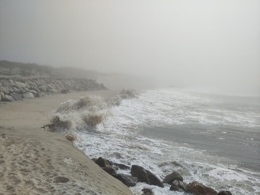 Fog, Sun, and an Unforgettable Evening