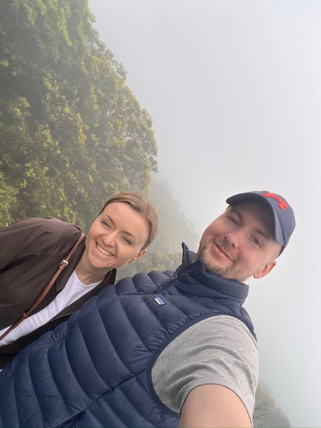 Nebel und Blumen