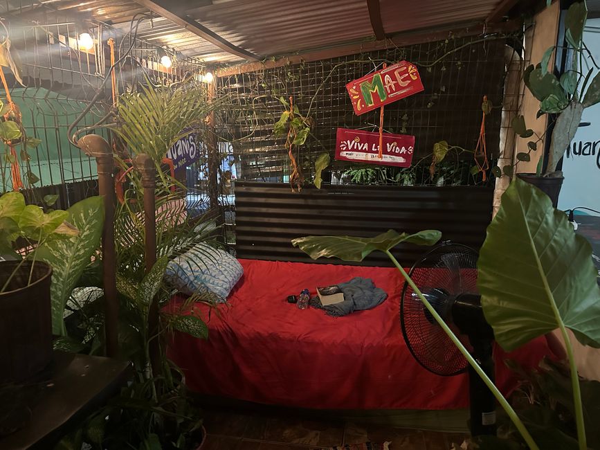 Costa Rica 🇨🇷 