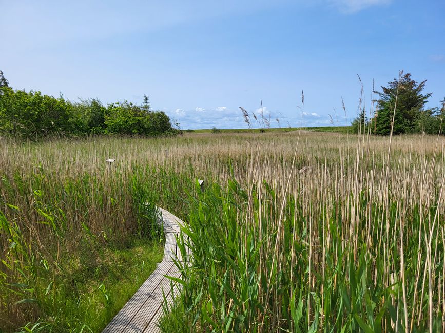 Naturschutzgebiet Wallnau