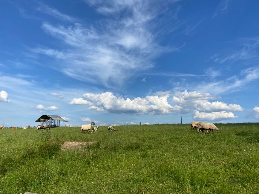 Kurztrip nach Wallersheim in der Vulkaneifel