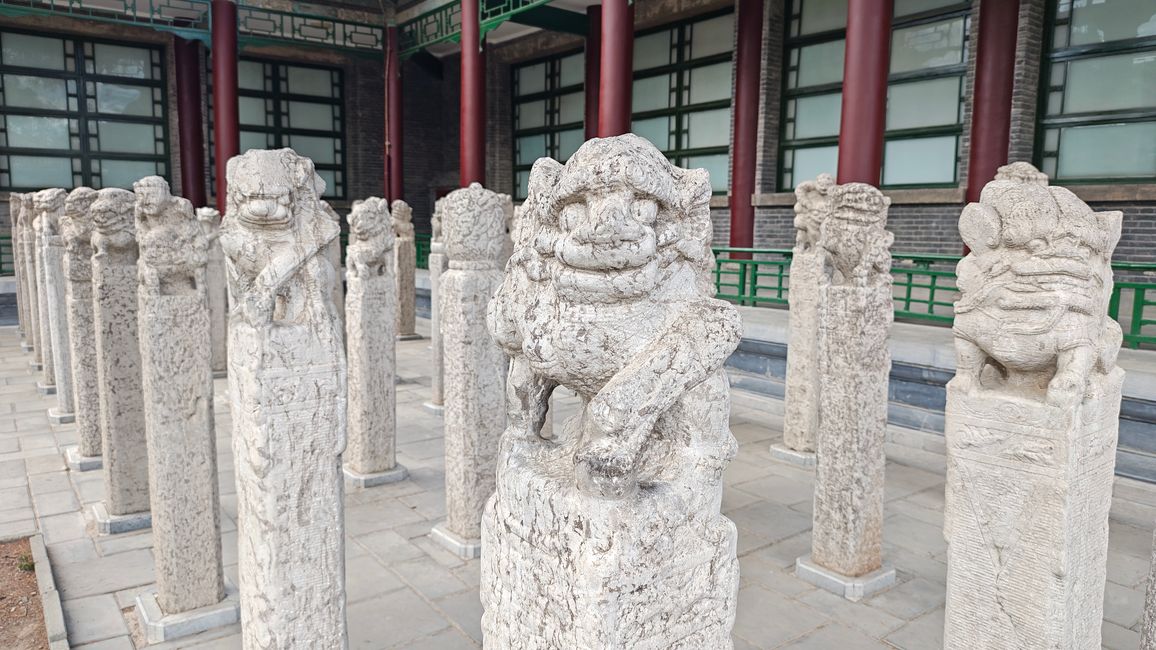 Interazione nel Museo delle Stele