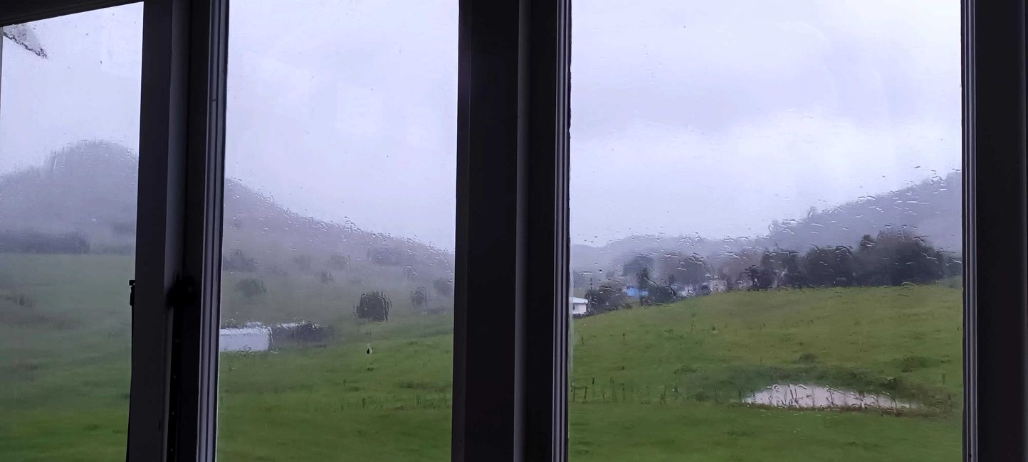 Der Blick aus dem Zimmer