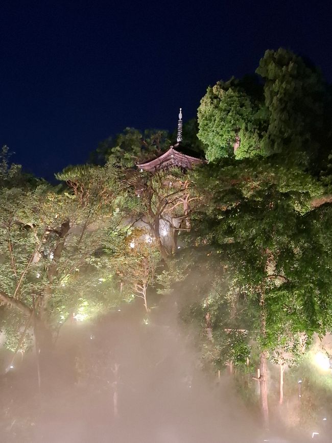 Beautiful Tokyo