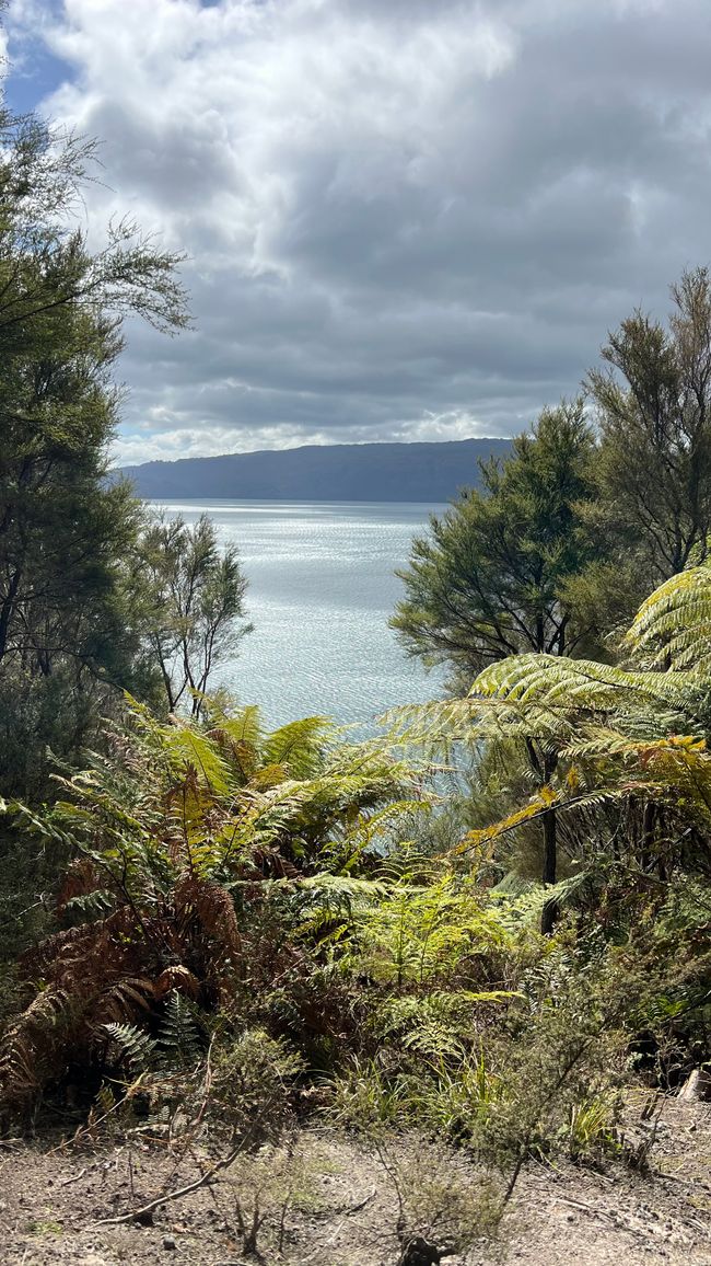 Blick auf den Lake Tarawera