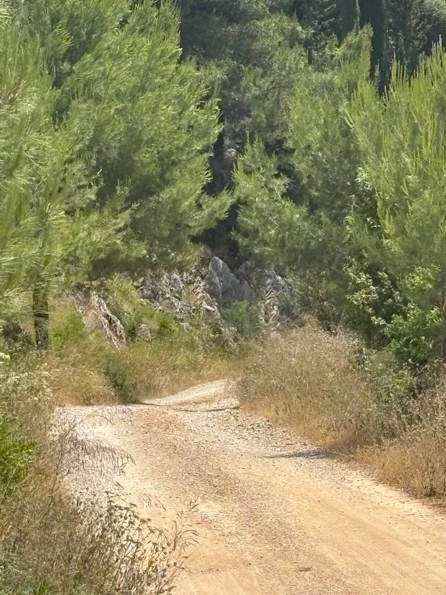 Isla Korcula y "ciudad antigua"