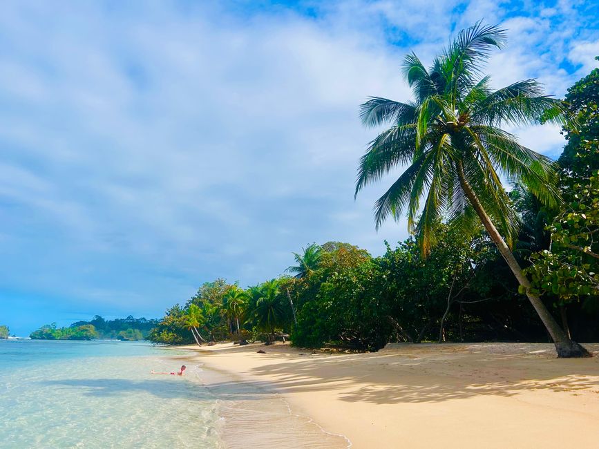 Bocas del Toro