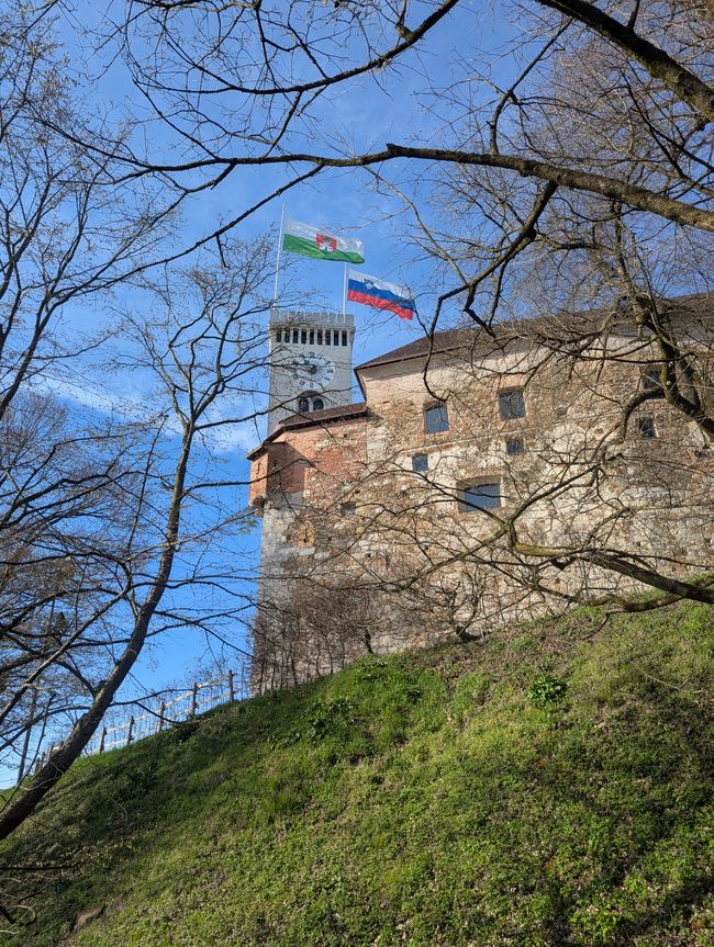 Lubiana