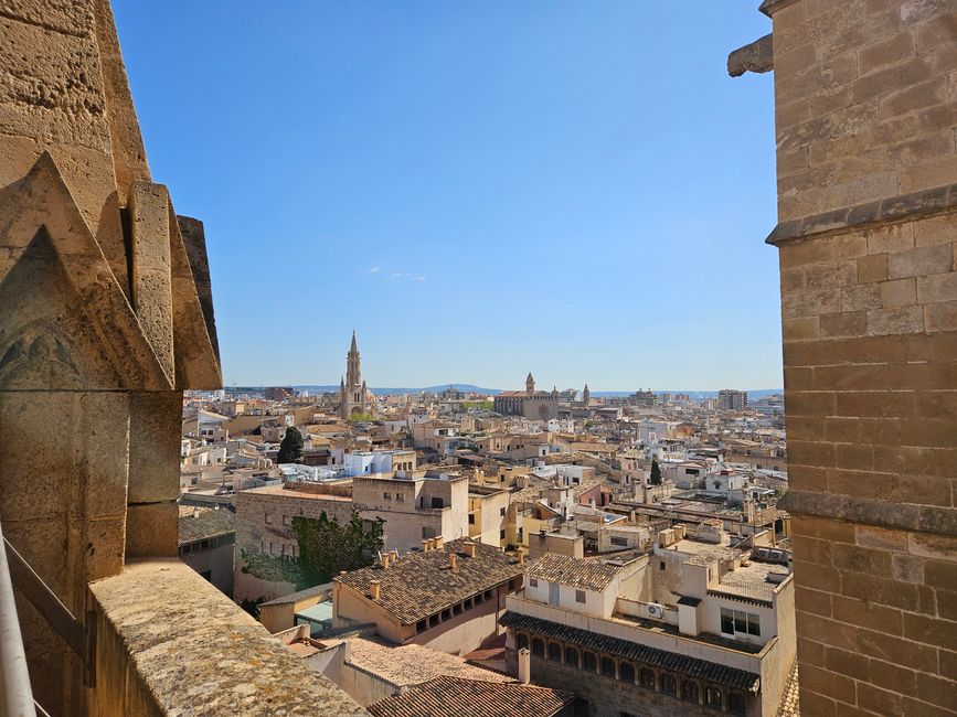 Vista dalla terrazza panoramica della cattedrale