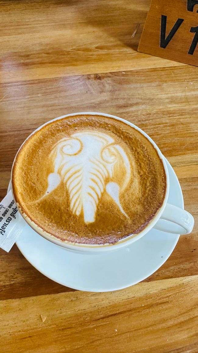Voyage en Thaïlande et Elephant Haven