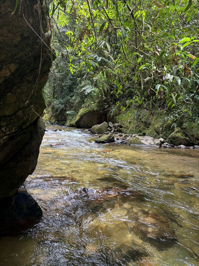 Semaine 26-28 : Au revoir, Colombie