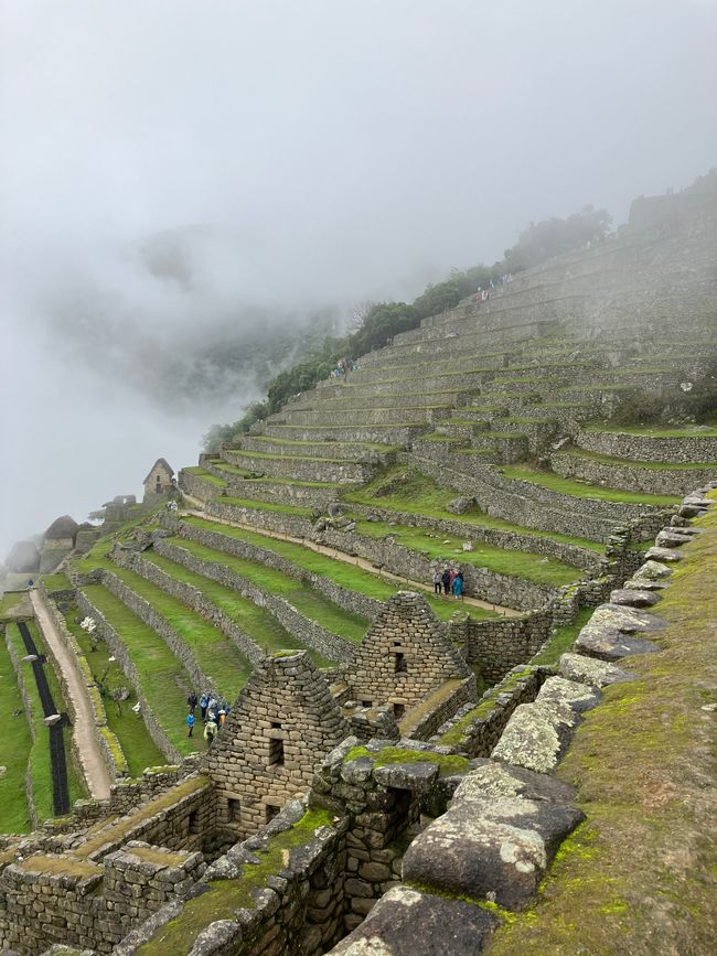 Machu Picchu - Dschungel-Abenteuer